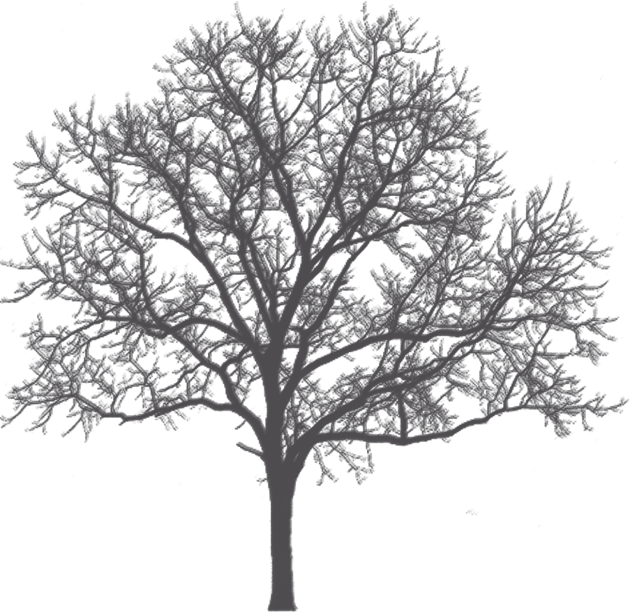 花城控股集團(tuán)