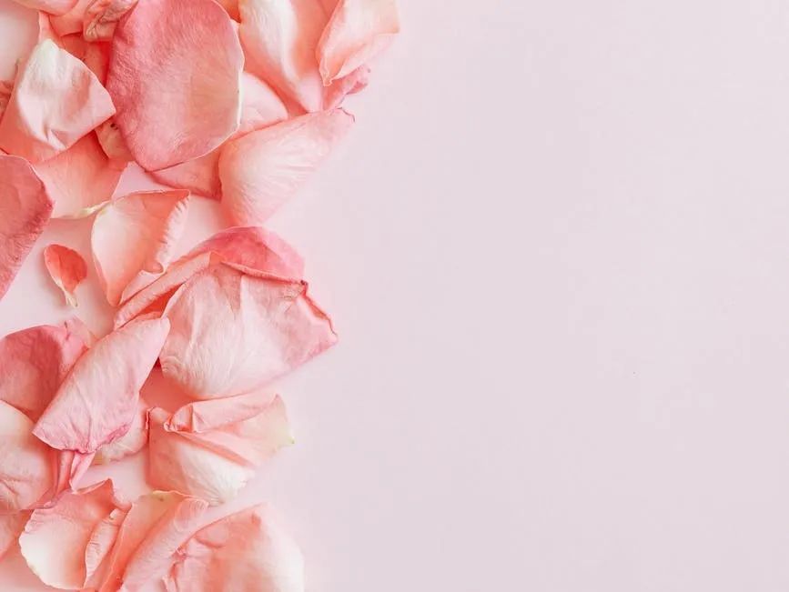 不好意思，本次培訓班只限乘風破浪的姐姐參與