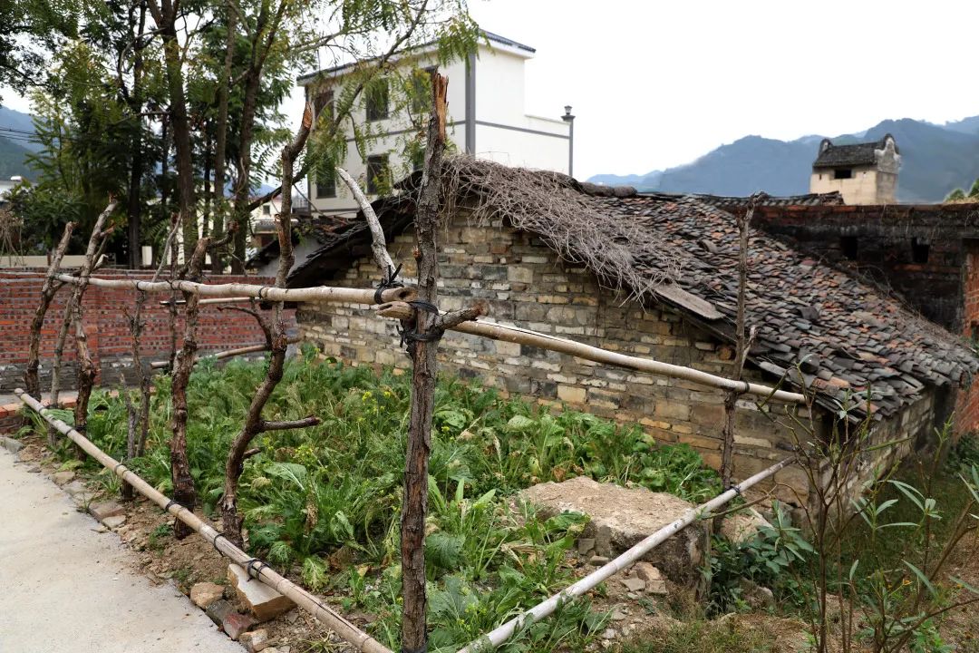 花城控股集團 花城控股集團