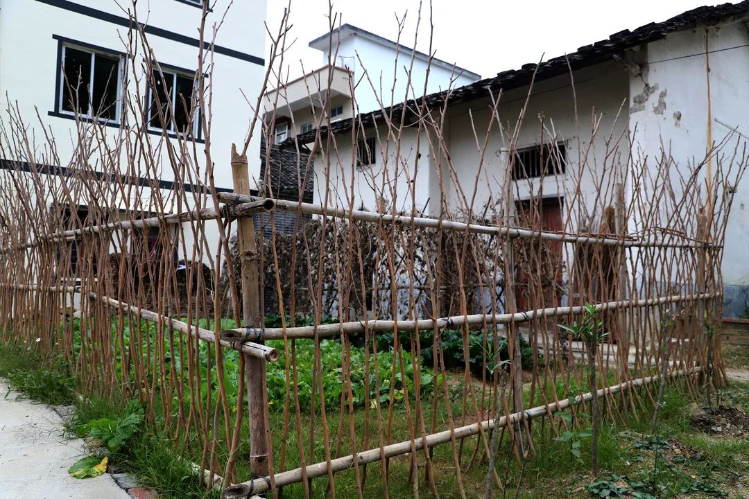 花城控股集團 花城控股集團