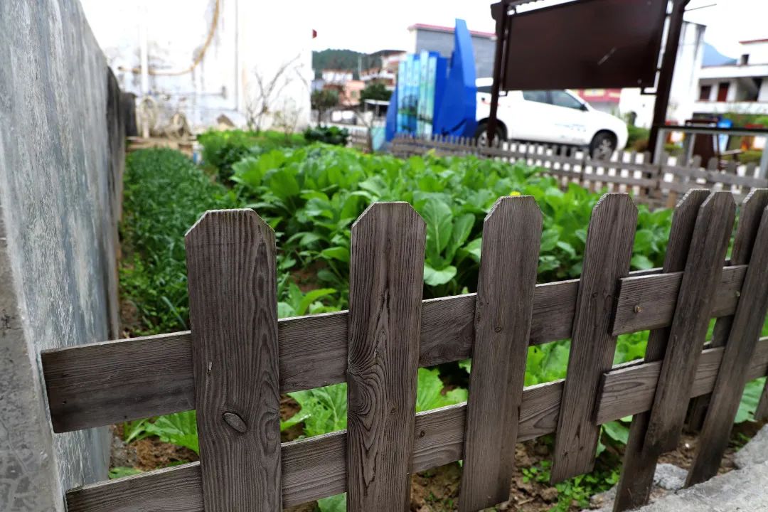 花城控股集團 花城控股集團