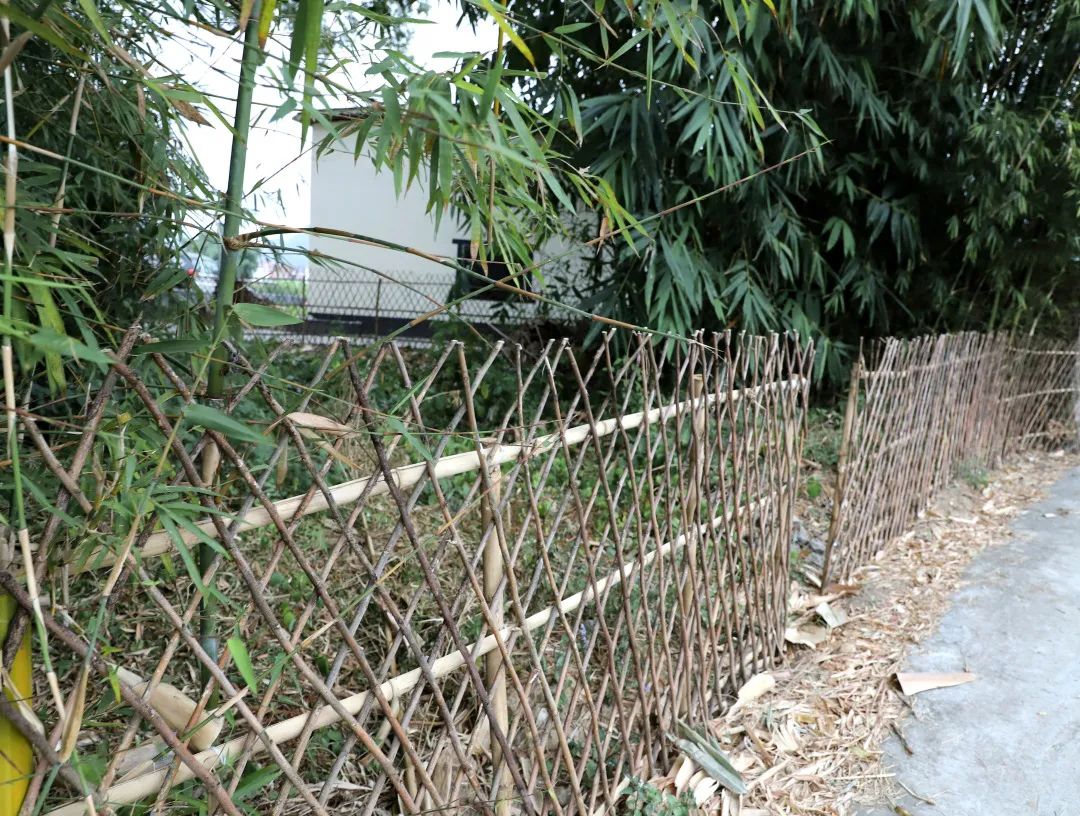 花城控股集團 花城控股集團