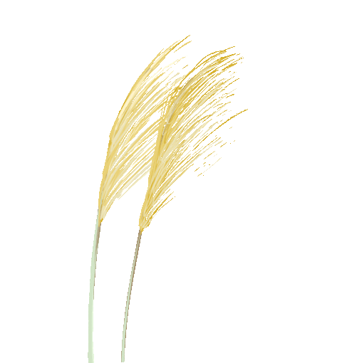 花城控股集團(tuán) 花城控股集團(tuán)