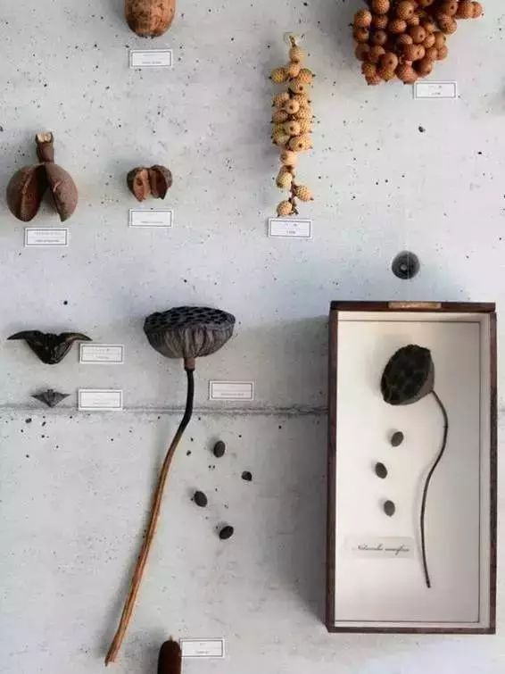 花城控股集團 花城控股集團