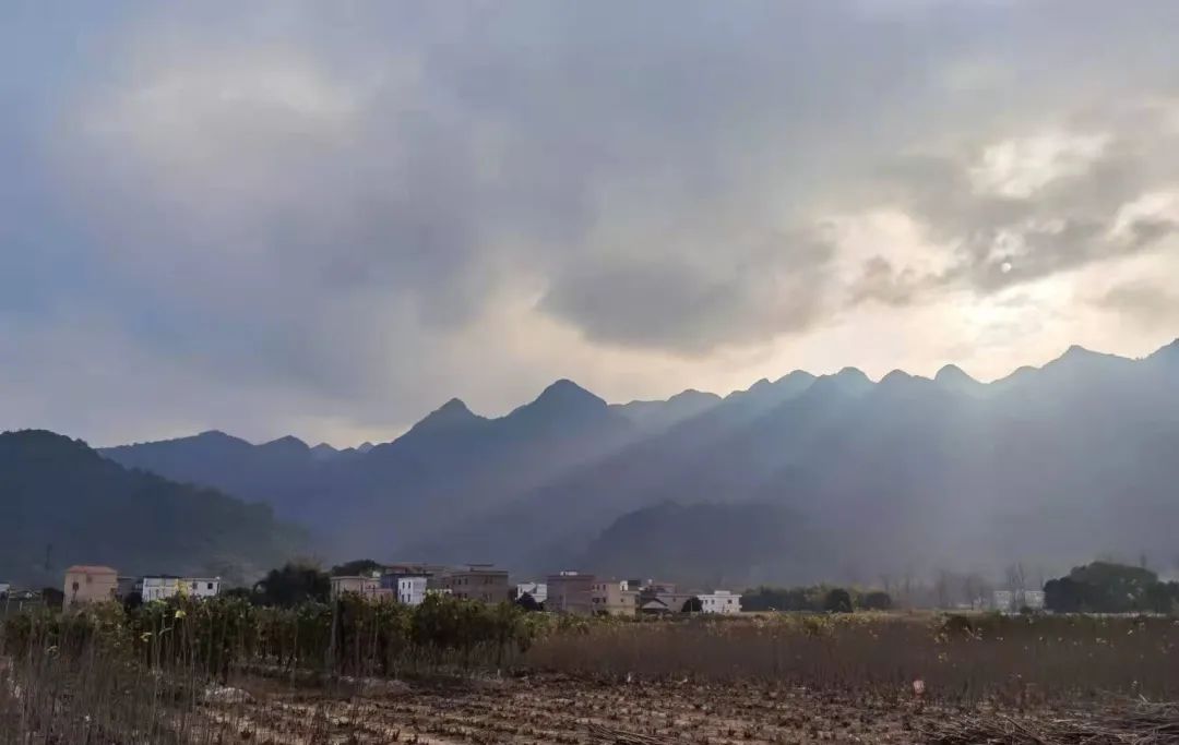 花城控股集團 花城控股集團