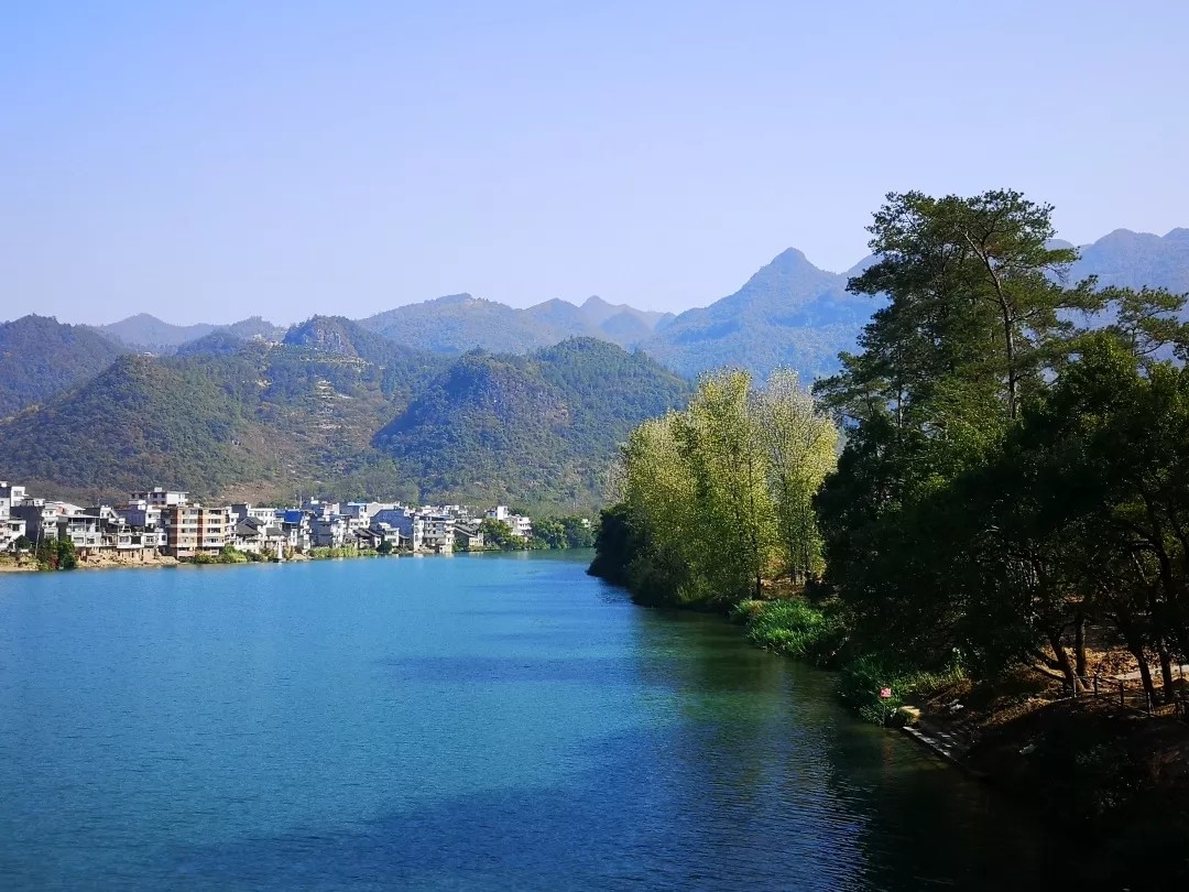 花城控股集團 花城控股集團